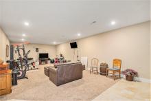 Lower Level Professionally Finished Rec Room