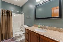 Lower Level Bathroom