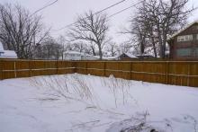 Back yard - privacy fenced