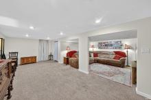 Basement living area