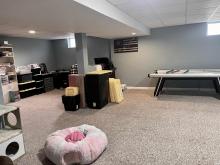 Basement FR