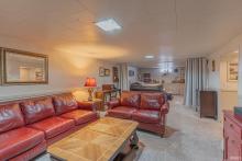 Basement Family Room