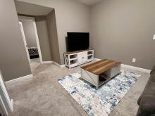 Basement Family Room