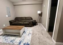 Basement Family Room