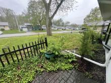 Yard