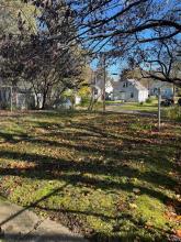 Backyard Area