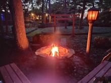 Serene Back Yard