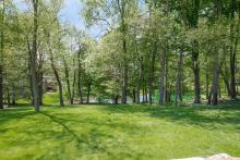 Backyard water view