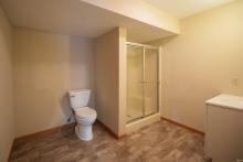 Basement Bathroom