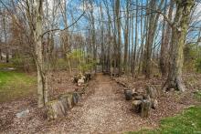 Trail Leading to Fire Pit