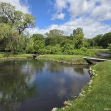 Pond