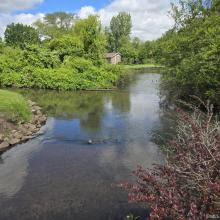 Juday creek