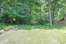 Back yard