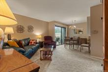 Living room/dining room